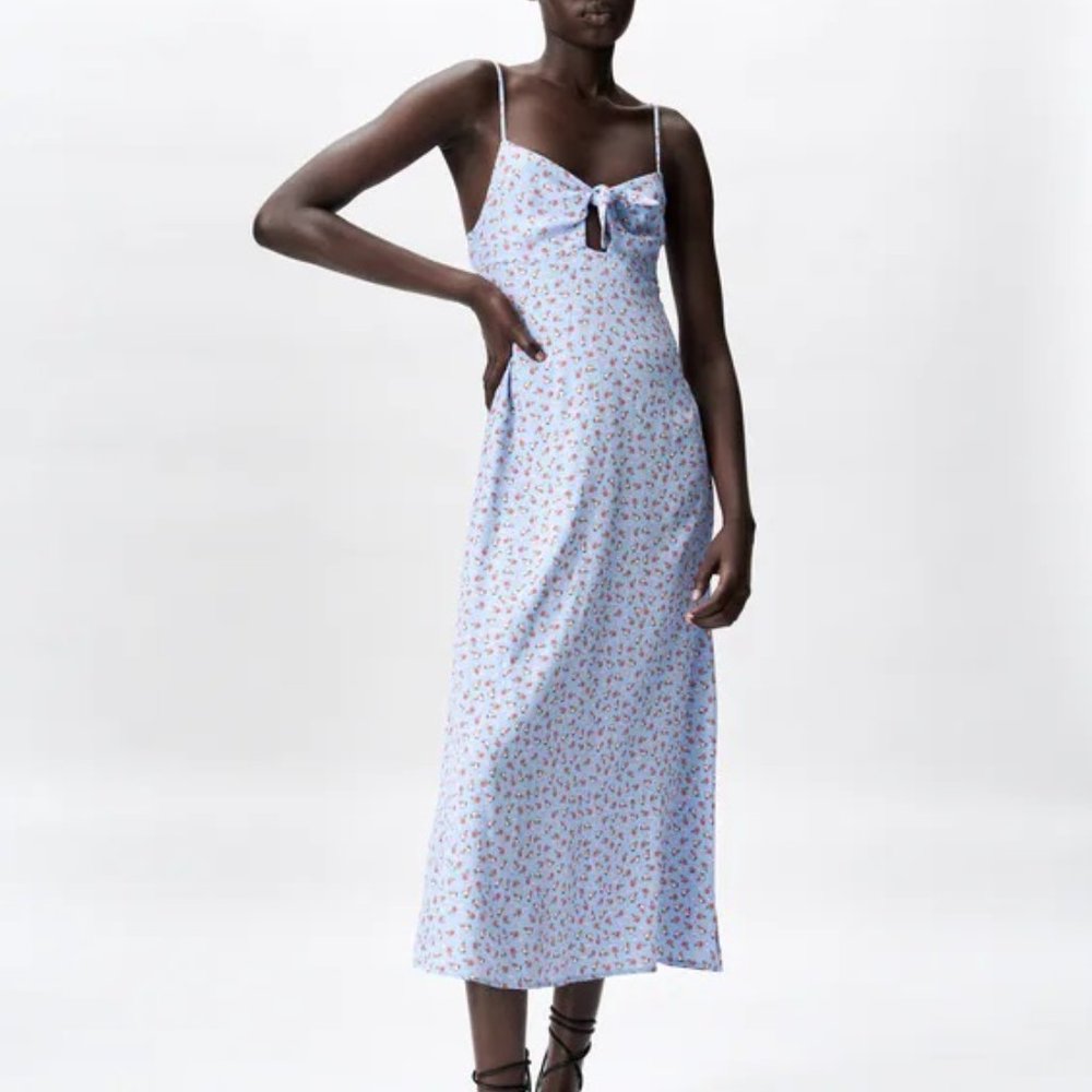 Zara Floral Print Dress